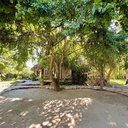 הוילה פוארטו אסקונדידו Casa Kuul, Elegant Fusion Of House And Garden. מראה חיצוני תמונה